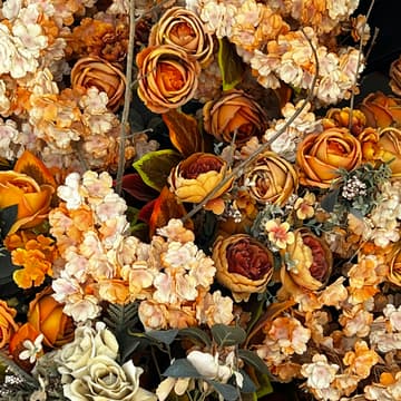 Cover Image for Bloom & Grow November