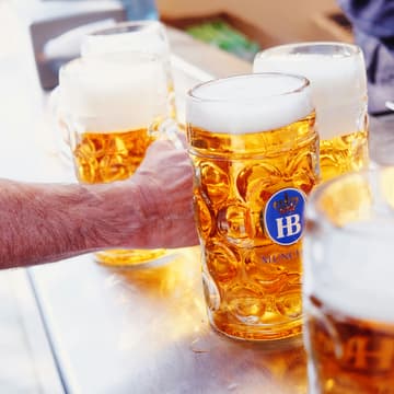 Cover Image for Octoberfest at The Grove