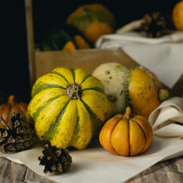 Cover Image for Pumpkin Still Life; Oil Painting Workshop