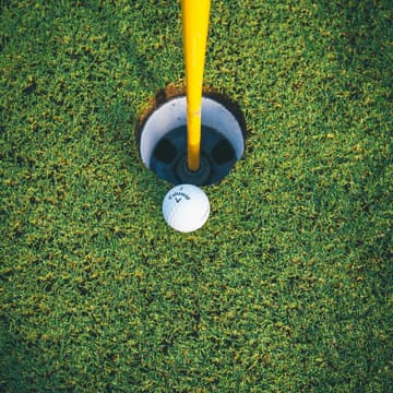 Cover Image for Mini Golf At Swingers|18th September| Age 25 to 38