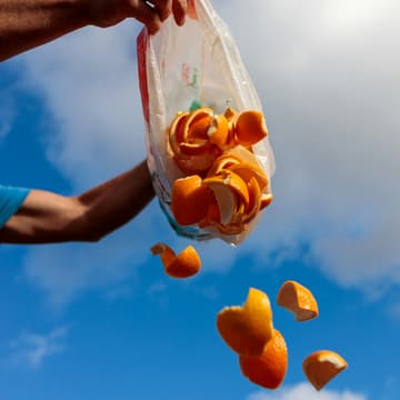 Cover Image for Feeding People, Not Landfills: Policy Solutions that tackle Food Waste and Food Insecurity