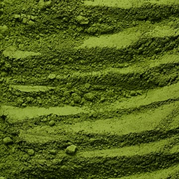 Cover Image for Matcha Workshop