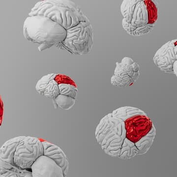 Cover Image for Cognitive Infrastructure for Agentic Economies