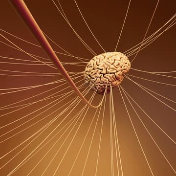 Cover Image for Neuroscience x AI Happy Hour