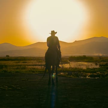 Cover Image for Nonprofit Datafolk Club: AI - The good, the bad and the ugly