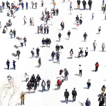 Cover Image for To Connect Is to Be Human. Do We Still Know How?
