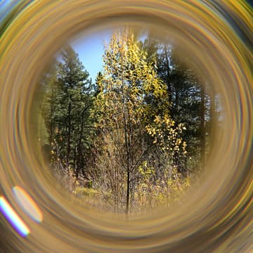 Cover Image for Nature Tech Signals: Introducing the Nature Integrity Target — a draft framework for corporate environment