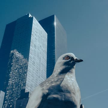 Cover Image for All Ages Event: Book Release and Pigeon Party with Tine Bird