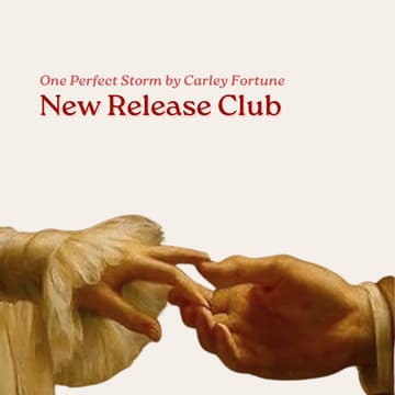 Cover Image for New Release Club: Our Perfect Storm by C. Fortune