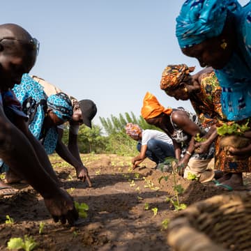 Cover Image for Climate Week: Thursday is for Farmers