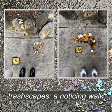 Cover Image for trashscapes: a noticing (and photo) walk