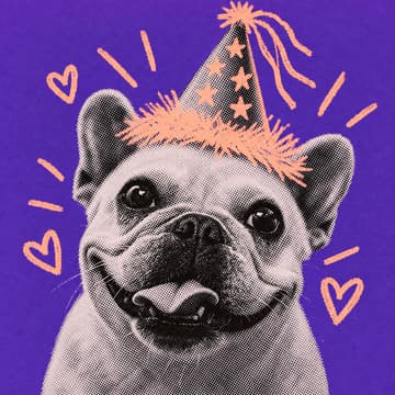 Cover Image for Looking for Love? Your Dog Can Help