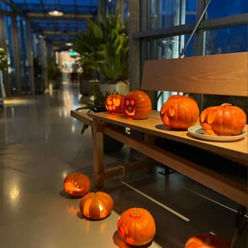 Cover Image for Rooftop Halloween Party with Any Weird Stuff