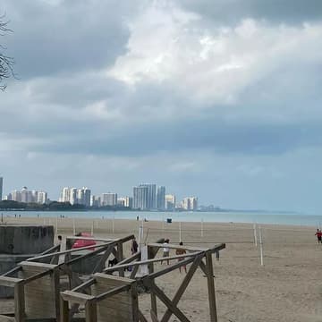 Cover Image for 6/6 Idealist Day Chicago Beach Cleanup
