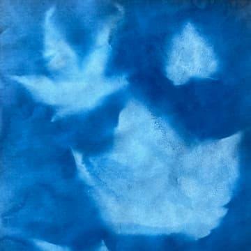 Cover Image for NATURAL ANTHOTYPE & CYANOTYPE PRINT WORKSHOP