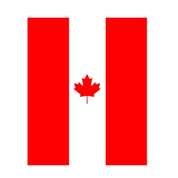 Cover Image for PauseAI Canada monthly video call