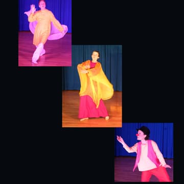 Cover Image for Pacific Eurythmy Community Workshop