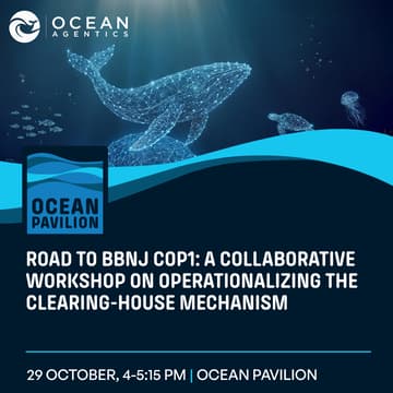 Cover Image for Road to BBNJ COP1: A Collaborative Workshop on Operationalizing the Clearing-House Mechanism
