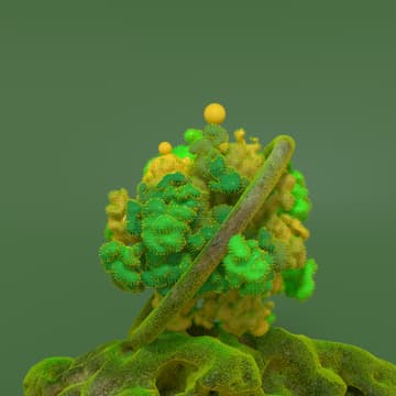 Cover Image for Regenerative Futures