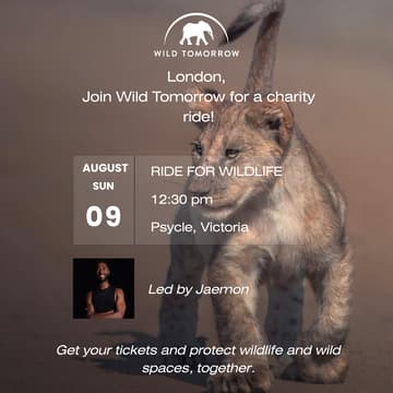 Cover Image for Charity Ride for Wildlife