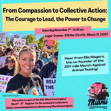Cover Image for From Compassion To Collective Action: The Courage To Lead, The Power To Change