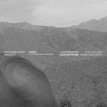 Cover Image for vernissage THEOS