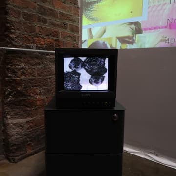 Cover Image for Joslyn Crocco Studio Visit