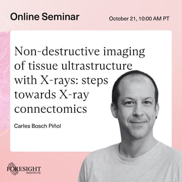 Cover Image for Carles Bosch Piñol | Non-destructive imaging of tissue ultrastructure with X-rays: steps towards X-ray connectomics