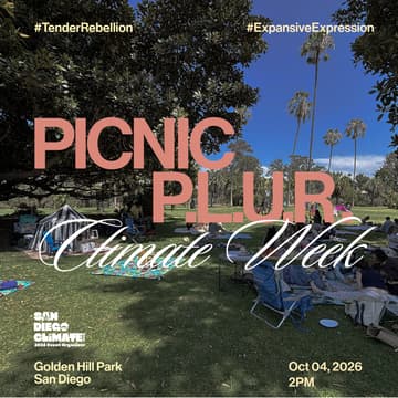 Cover Image for Picnic P.L.U.R.