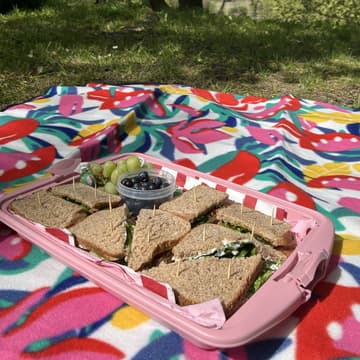 Cover Image for Offline piknik a hry u řeky | u Sýkorového mostu