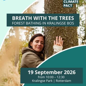Cover Image for Breath with the trees: Forest Bathing in Kralingse Bos