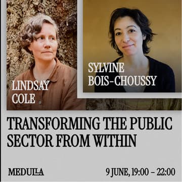Cover Image for Transforming the Public Sector From Within
