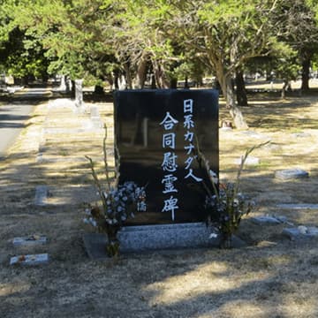 Cover Image for Heritage Walk and Obon Ceremony at Ross Bay Cemetery