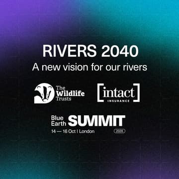 Cover Image for Rivers 2040 Launch: Film Premiere & Panel Discussion