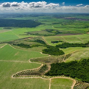 Cover Image for Finance for Resilient Landscapes (F4RL)