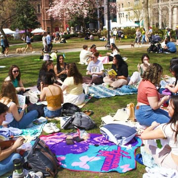 Cover Image for blue stoop x lmk summer school reading in the park
