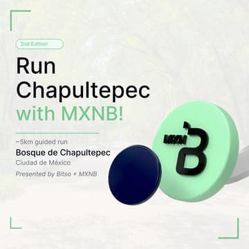 Cover Image for Run Chapultepec with MXNB!