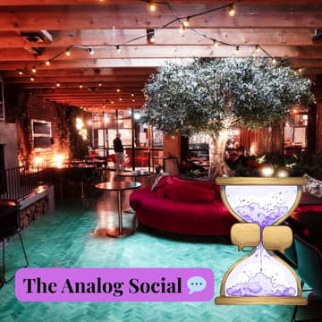 Cover Image for The Analog Social - Board games & more | Marlin Hotel
