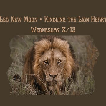 Cover Image for Leo New Moon • Kindling the Lion Heart