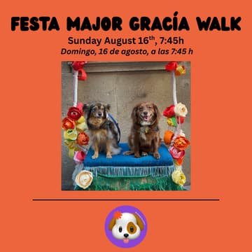 Cover Image for Festa Major Gracia Walk