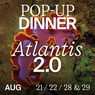 Cover Image for Amsterdam | Immersive Experience Dinner : Atlantis 2.0