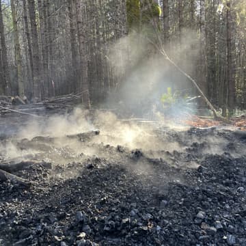 Cover Image for Soil, Conservation burns, and Biochar w/Kai Hoffman Krull
