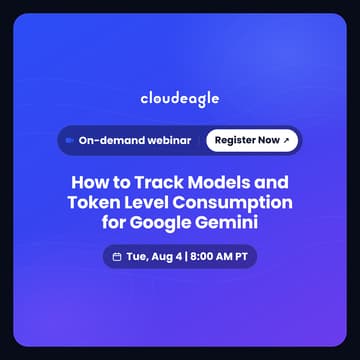 Cover Image for How to Track Models and Token Level Consumption for Google Gemini