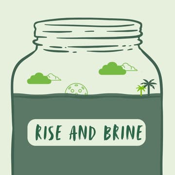 Cover Image for Rise & Brine!
