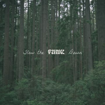 Cover Image for Slow the Funk Down - Funk x Yeoyu