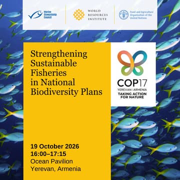Cover Image for Strengthening Sustainable Fisheries in National Biodiversity Plans