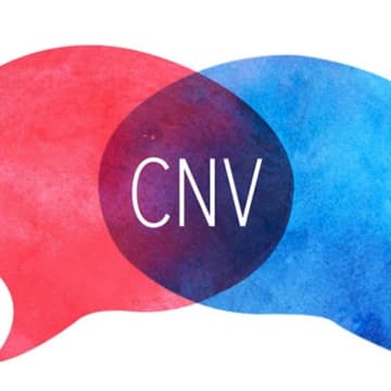 Cover Image for Cet été, je communique mieux avec mes proches avec la CNV