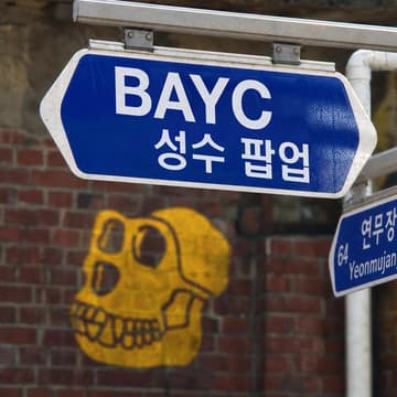 Cover Image for BAYC 성수 팝업: VIP Pre-opening