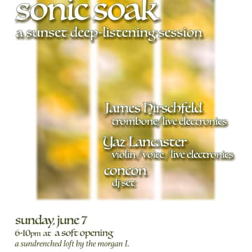 Cover Image for Sonic Soak