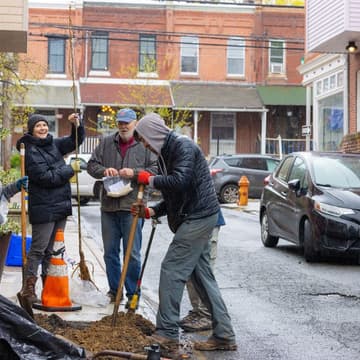 Cover Image for RFP Webinar: Urban Trees